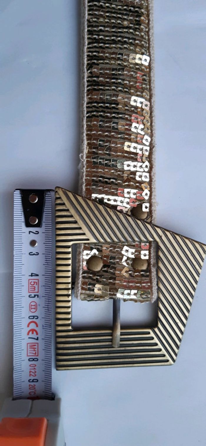 Ceinture dorée - photo numéro 12