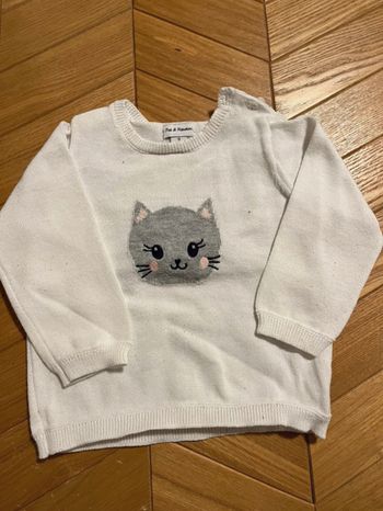 Pull petit chat