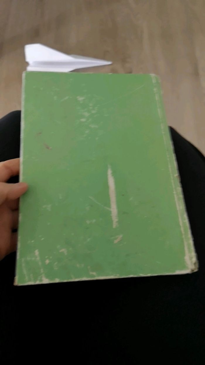 La petite sirene Disney mickey - photo numéro 2