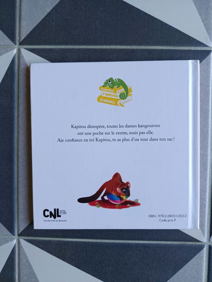 Livre Le kangourou qui n'avait pas de poche Hachette Jeunesse Éric-Emmanuel Schmitt/Shiilia - photo numéro 2