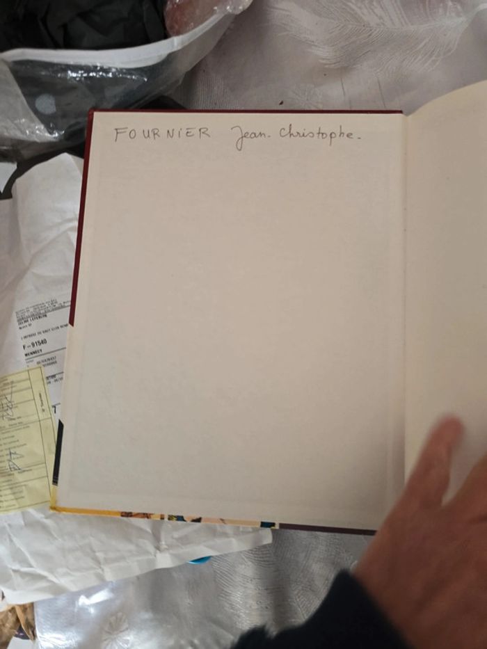 Bd histoire de France #orianabllivre - photo numéro 3