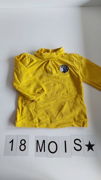 Sous pull GEMO 18 mois