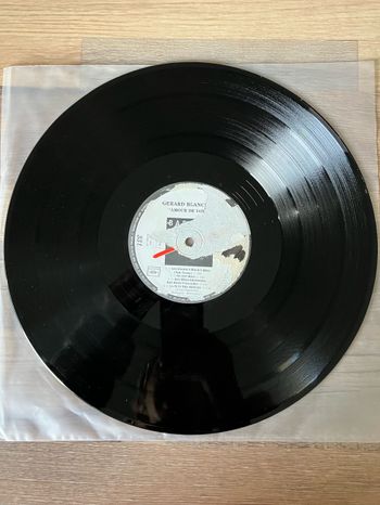 Vinyle 33 tours sans pochette-Gérard Blanchard-Amour de Voyou