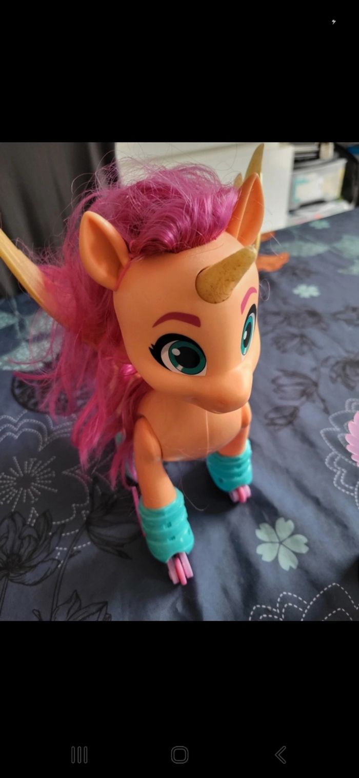 My little Poney en roller - photo numéro 3
