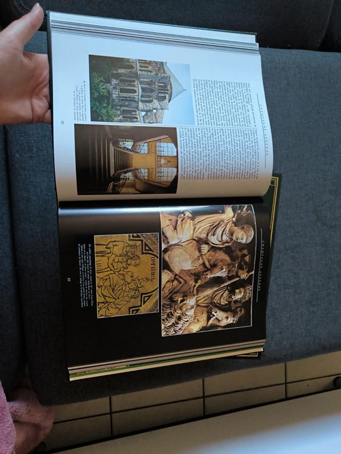 Collection la France et ses trésors Larousse - photo numéro 7