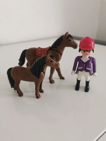 Playmobil lot animaux personnage cheval poney cavalière écuyere