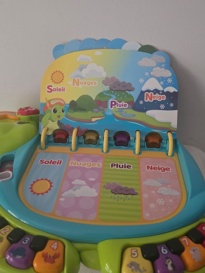 Thaïs la tortue exploratrice. - photo numéro 7