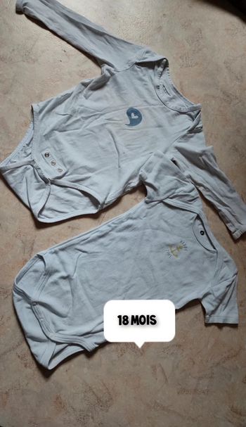 Bodies 18 mois