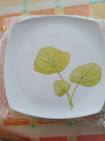 6 belle assiettes et 24 couverts