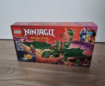 71829 - LEGO® Ninjago - Le dragon vert de la forêt de Lloyd