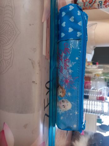 Trousse 👝 reine des neige