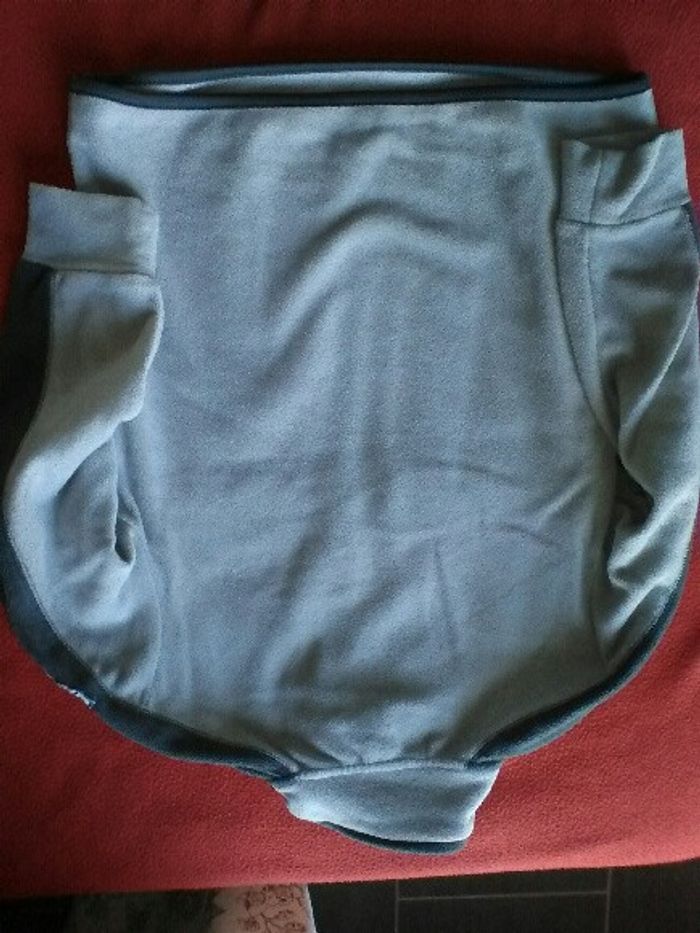 Polaire orchestra 8ans