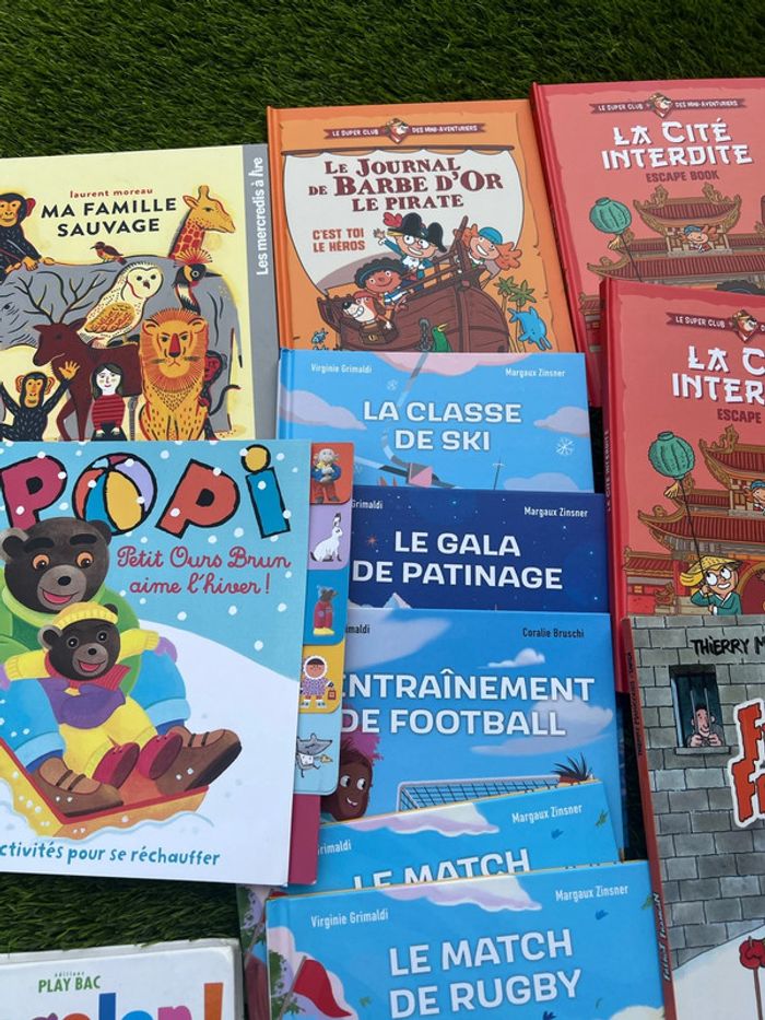 Gros lot de livres divers ( pas de vinted go ) - photo numéro 7