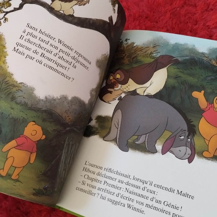 Livre enfant jeunesse Disney Winnie l'ourson - photo numéro 3