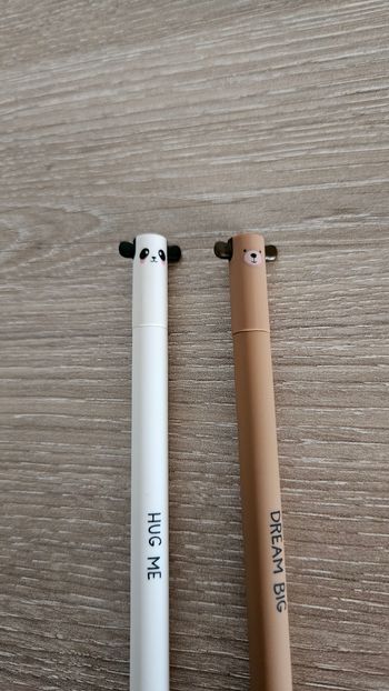 Legami panda et ourson