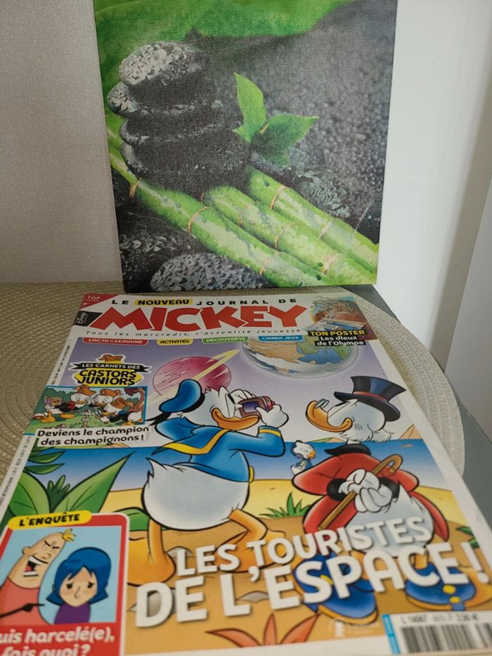 Livre Le Journal de Mickey - photo numéro 3