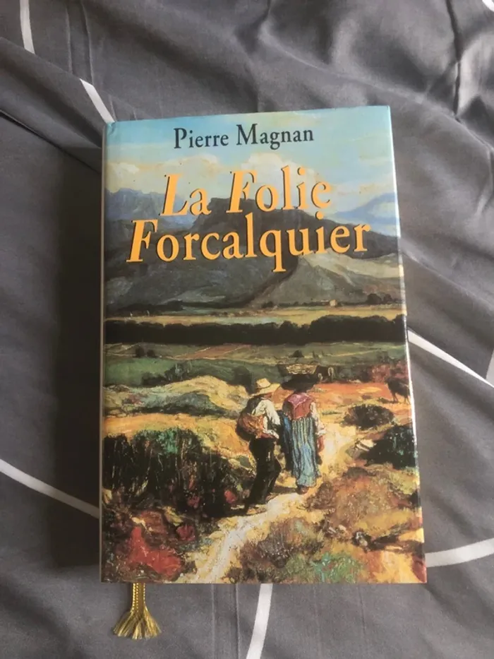 Livre la folie forcalquer 📕 - photo numéro 2