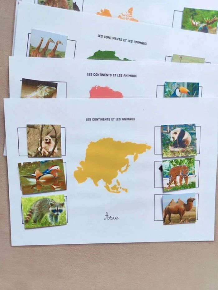 Les 7 continents et ses animaux à scratcher Montessori - photo numéro 2