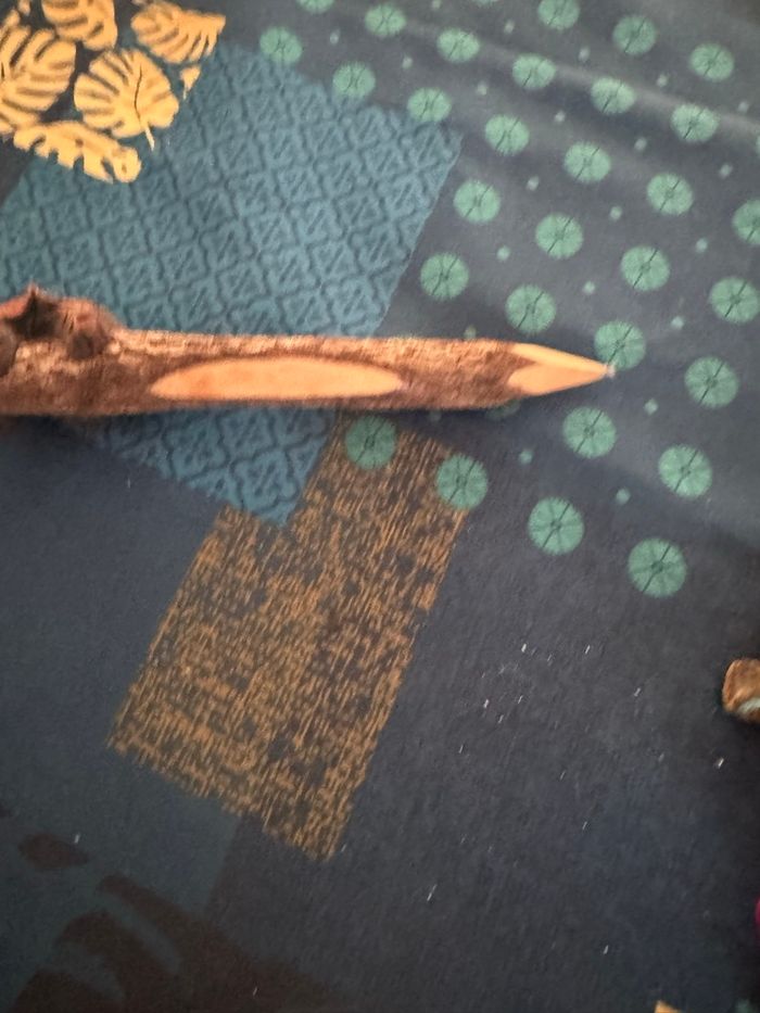 Crayon papier sculptétortue - photo numéro 3