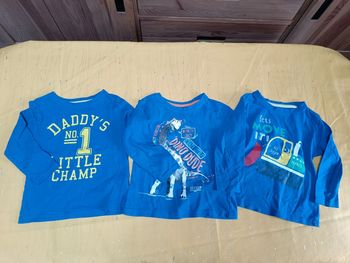 Lot de 3 tee-shirts manches longues 18-24 mois 92 cm
