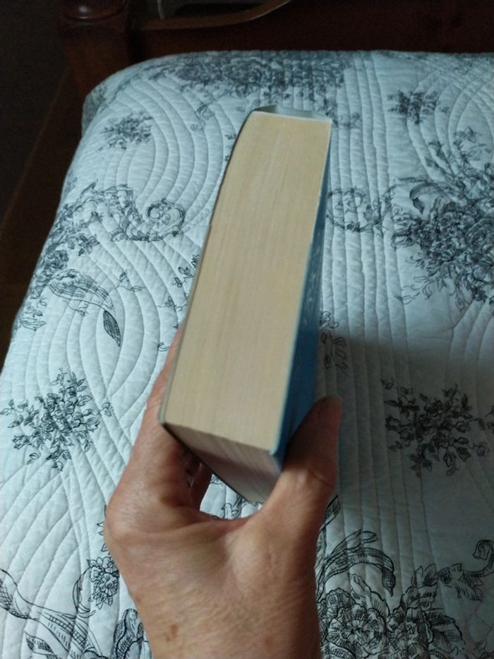 Le Porte Bonheur de Nicholas Sparks - photo numéro 4