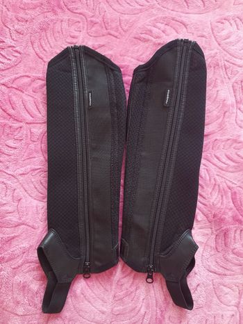 Snaps d'équitation 12 ans