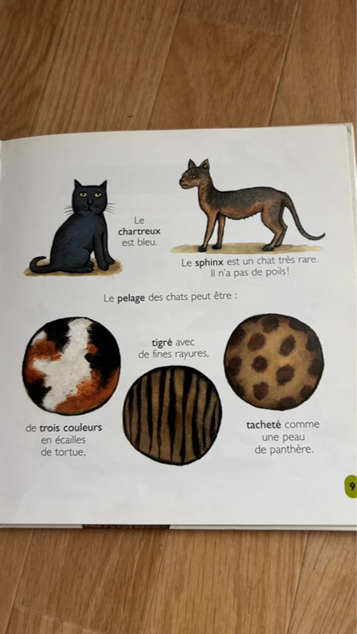 Livre les chat encyclopédie Larousse - photo numéro 6