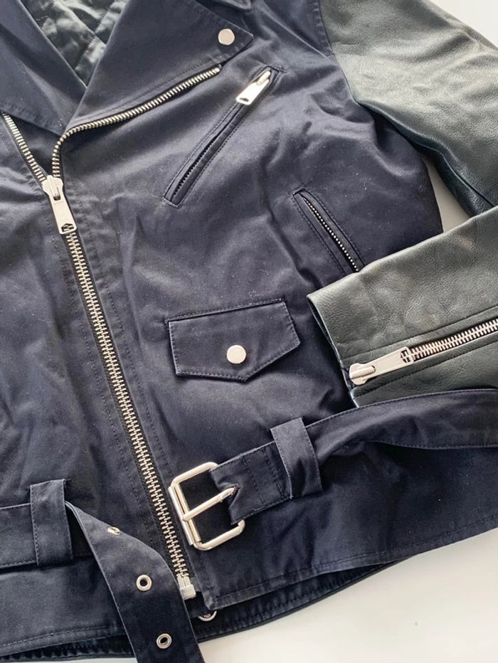 Magnifique Perfecto Sandro mi saison - photo numéro 3