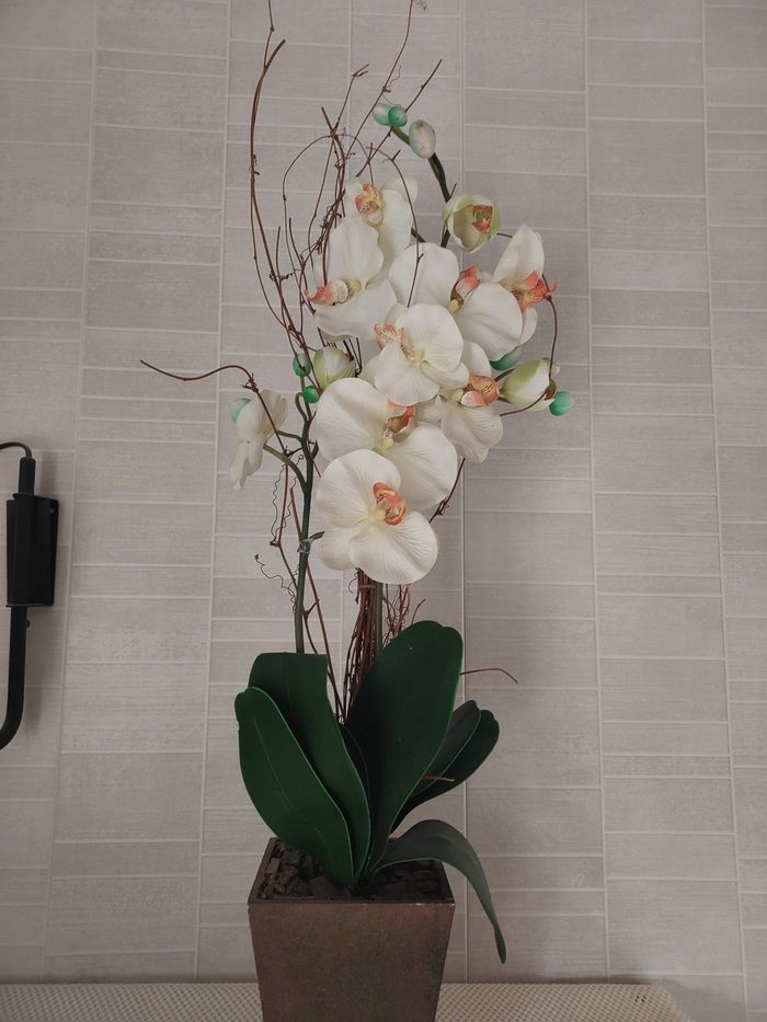 Orchidee artificielle