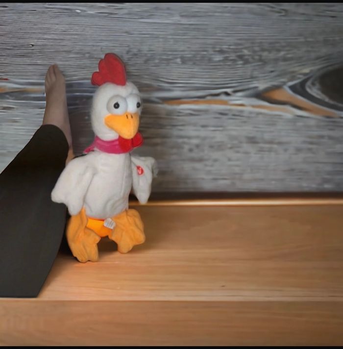 Peluche poule🧸