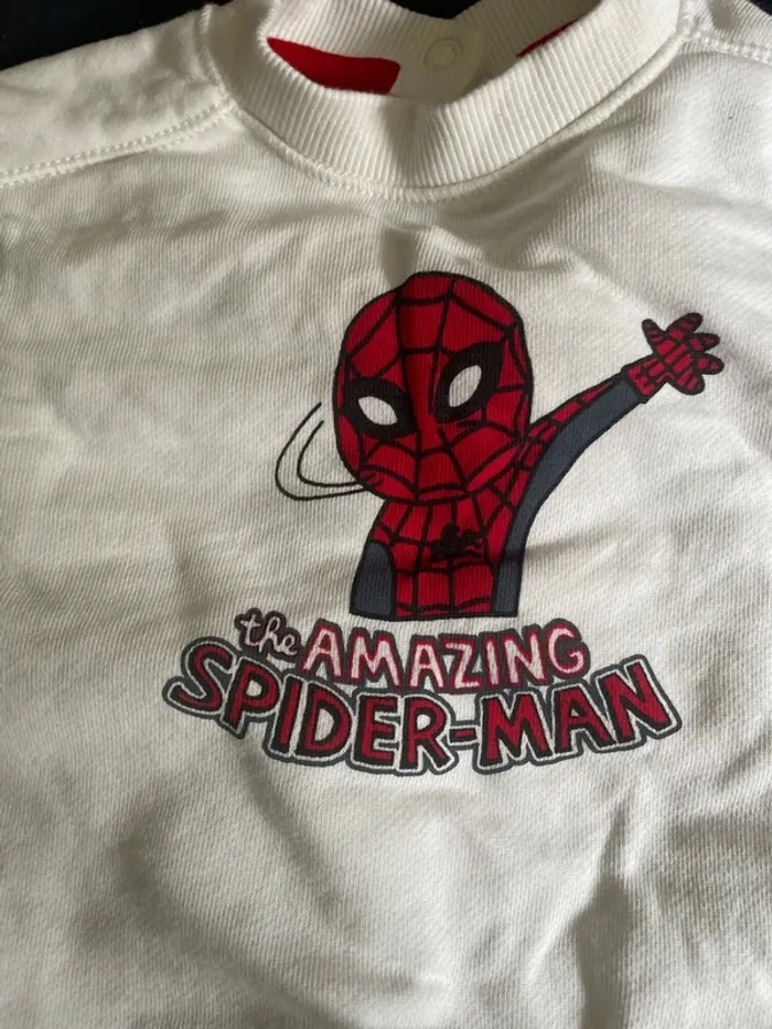 Sweat Spiderman - photo numéro 2