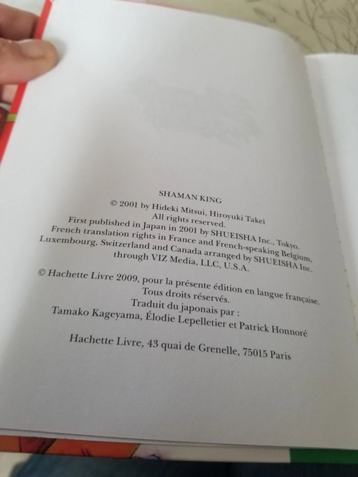 Pocket Shaman King Tome 2 - photo numéro 4