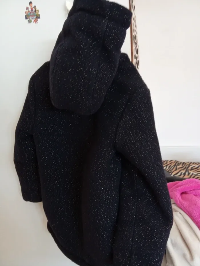 Manteau - photo numéro 4