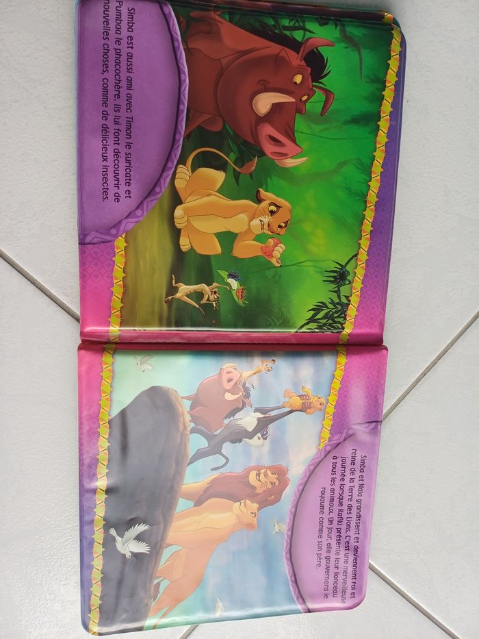 Livre roi lion - photo numéro 2