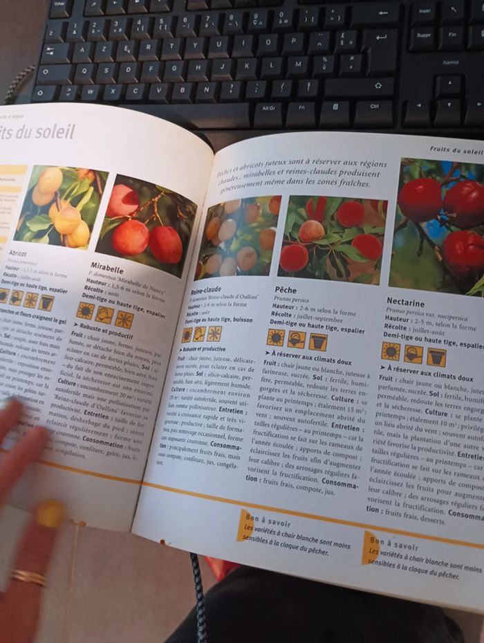 Livre saveurs du jardin Legumes fruits et aromates - photo numéro 4