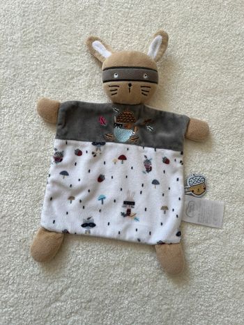 Doudou plat lapin masqué