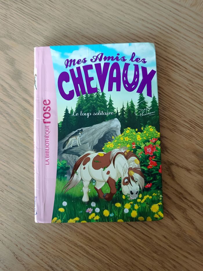 Livre Mes amis les chevaux