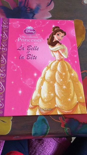 Livre la belle et la bête