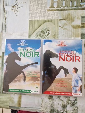 Dvd l etalon noir