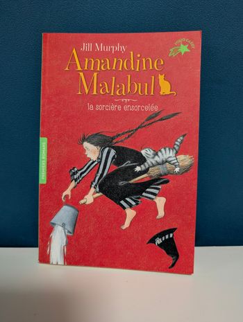 Livre Amandine Malabul