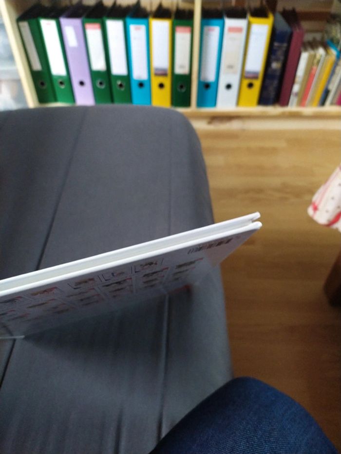 Le guide de la Drague de Tybo - Goupil - photo numéro 7