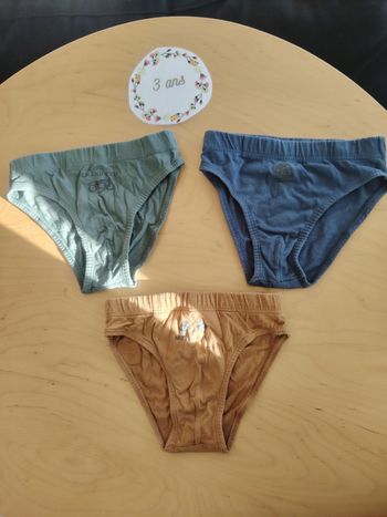 Lot de 3 slips garçon 3 ans en coton