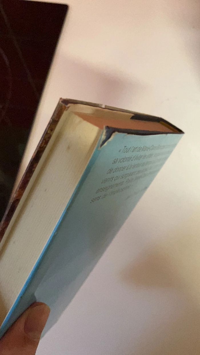 Livre. Photos de famille. - photo numéro 5