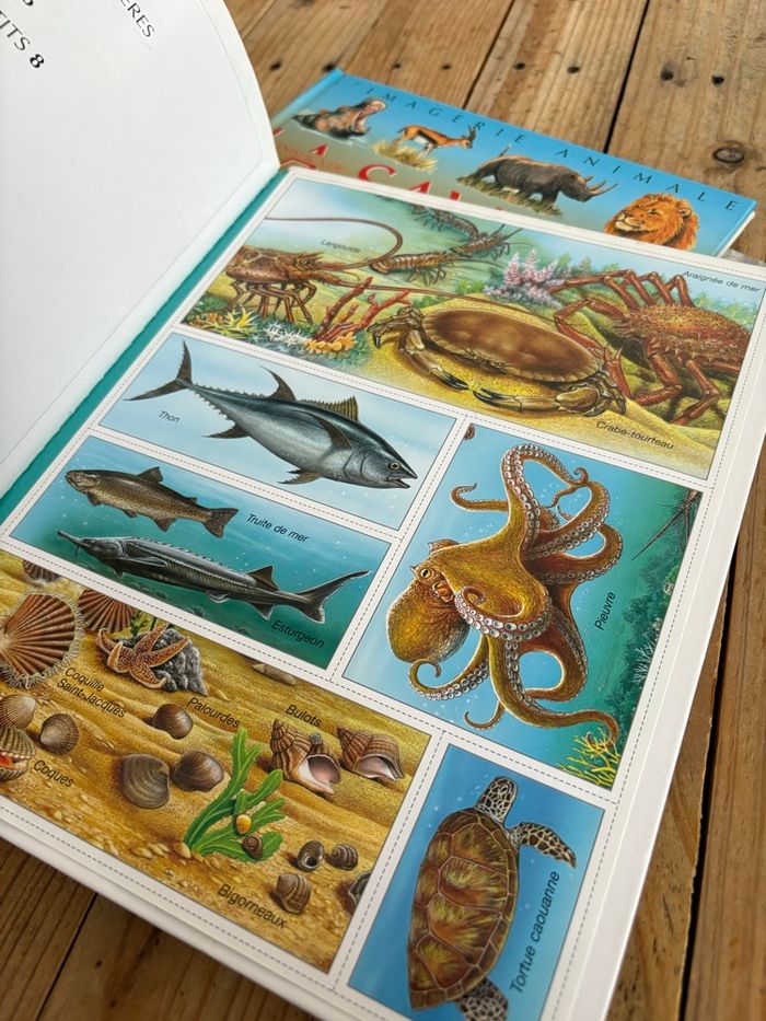 Lot de livres l’imagerie - photo numéro 7