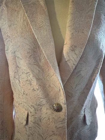 Veste blazer
