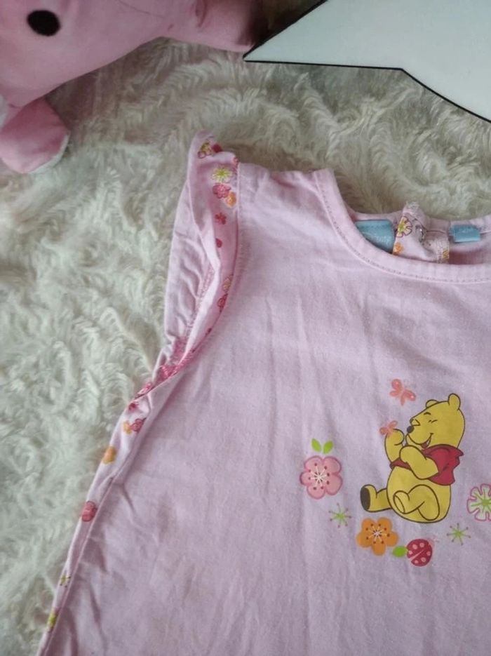 Robe Fille 12 mois Winnie l'ourson Fleurs Disney 100% coton - photo numéro 3