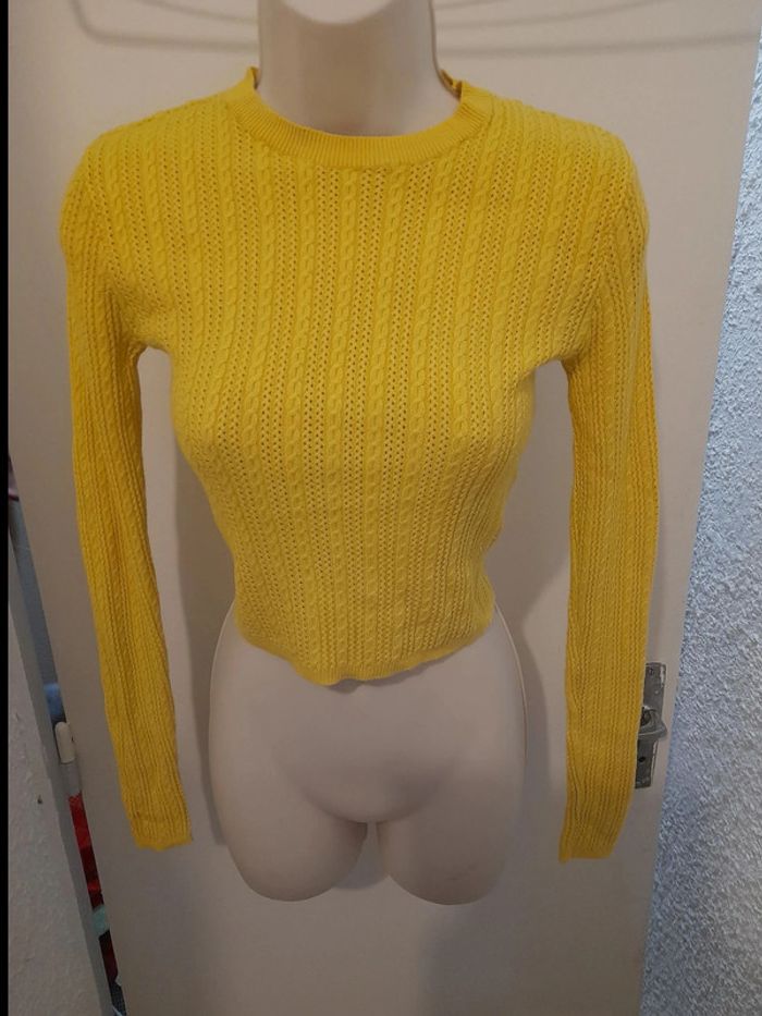 pull taille m