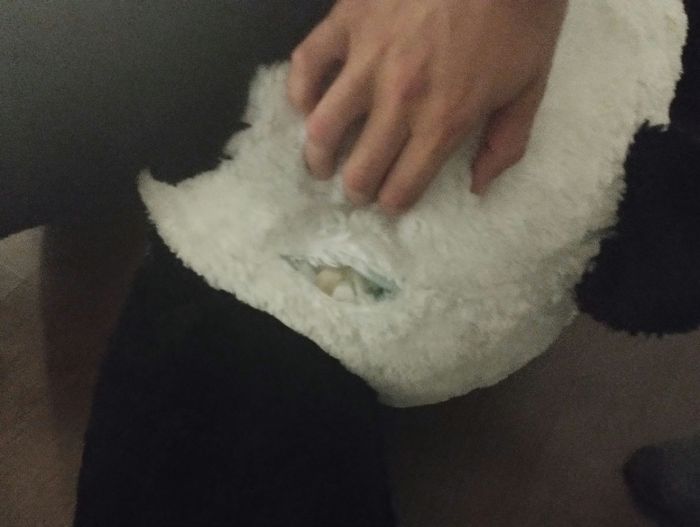 peluche 1m80 - photo numéro 2