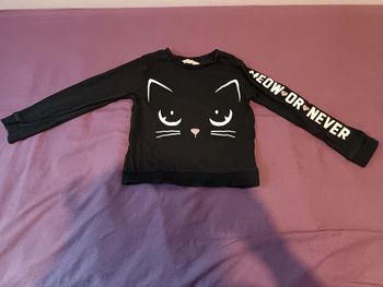 Pull chat 4 6 ans
