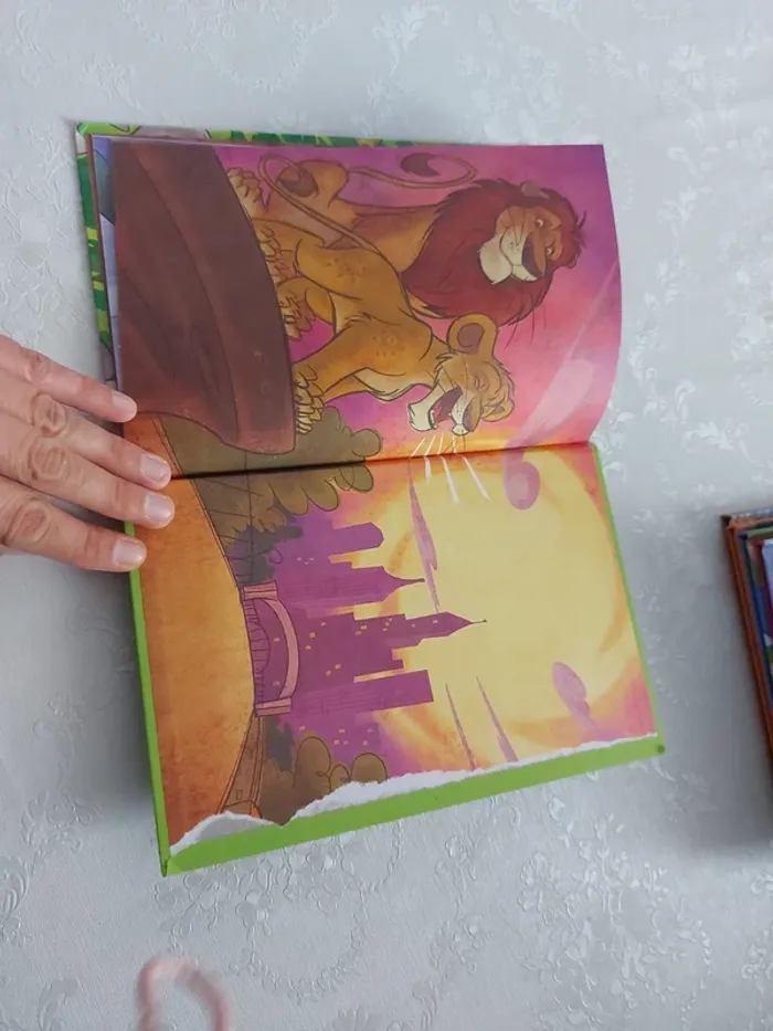 Livre Disney the wild - photo numéro 4